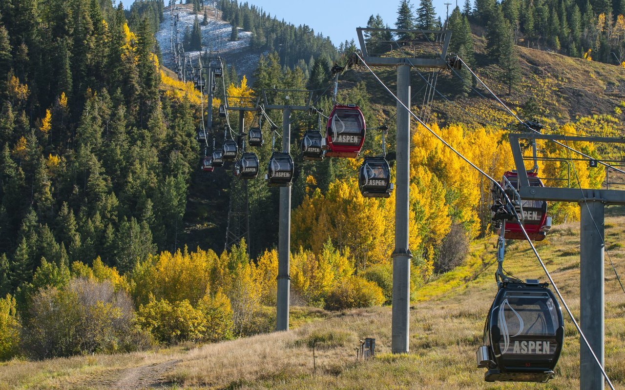 Aspen