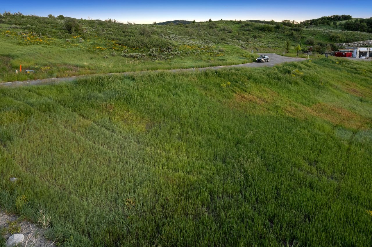 The Overlook at Dogwood Drive