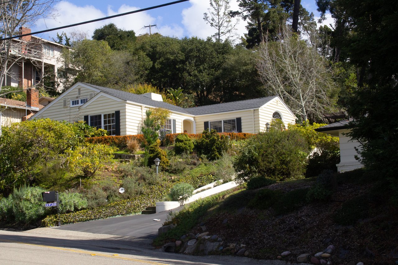 Piedmont Pines