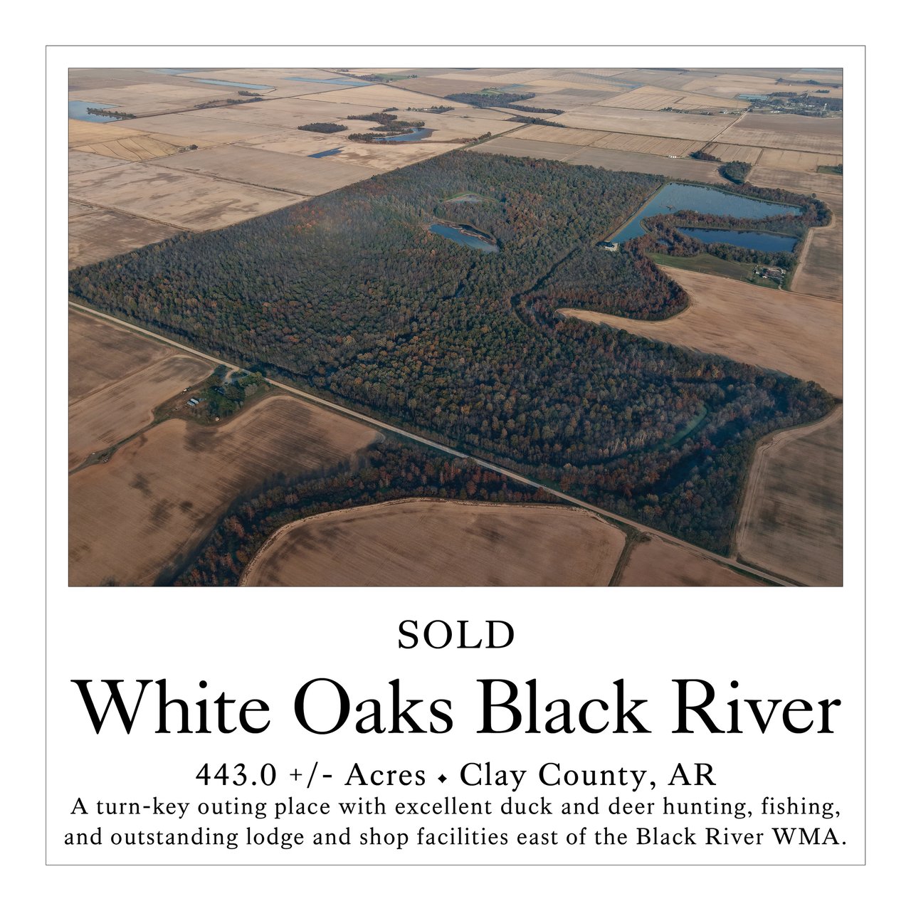 White Oaks Black River