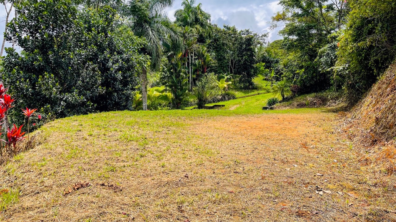 Scenic 2.53 Acres in Fila Cacao Ridge – Build-Ready Lot with Legal Water in Platanillo!
