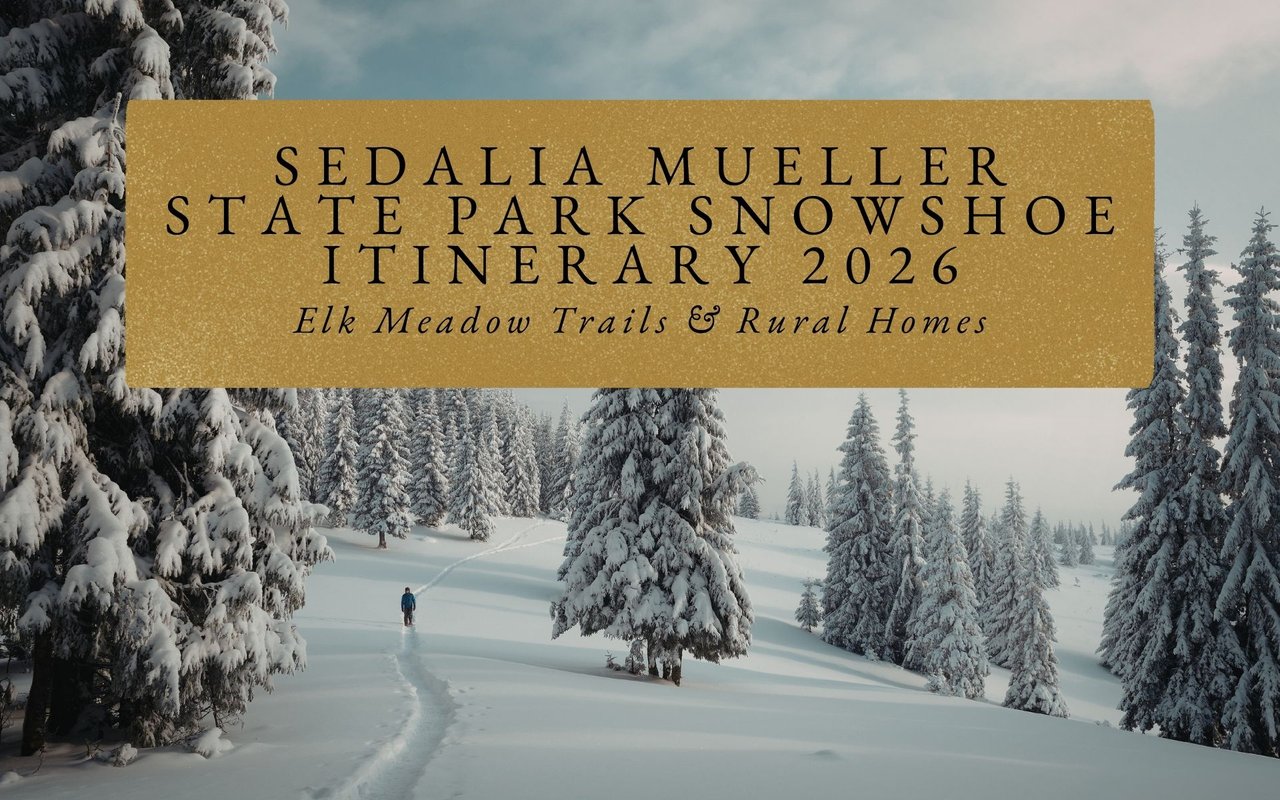 Sledding hill adjacent to Elk Meadow snowshoe trail at Mueller State Park, children sliding with parents snowshoeing nearby.