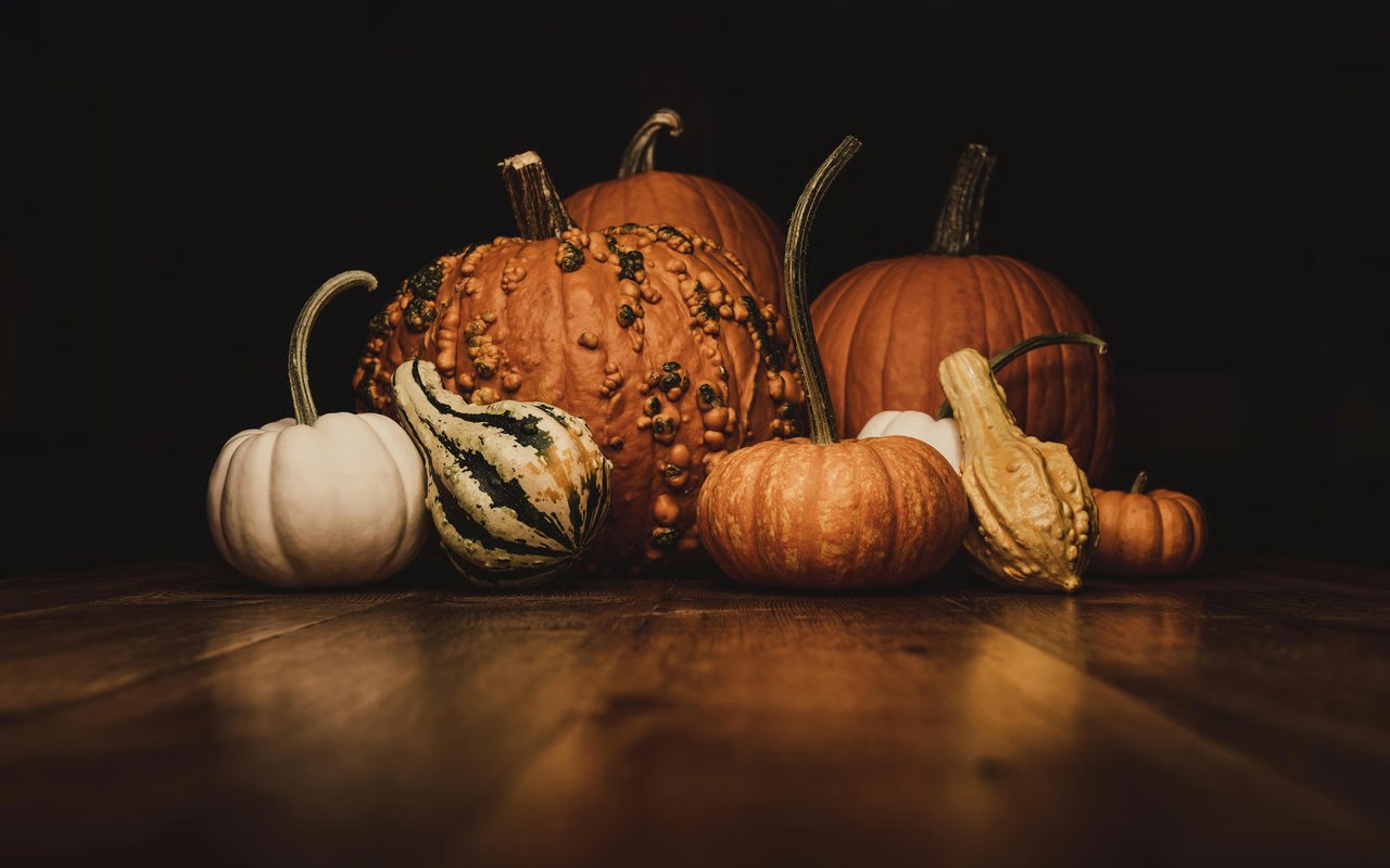 Happy Halloween to You and Your Family!