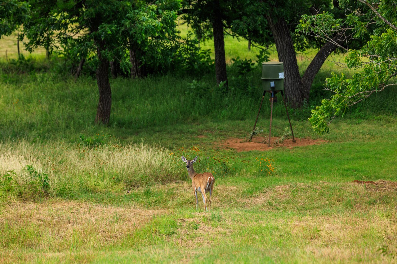 Live Oak Creek Ranch 