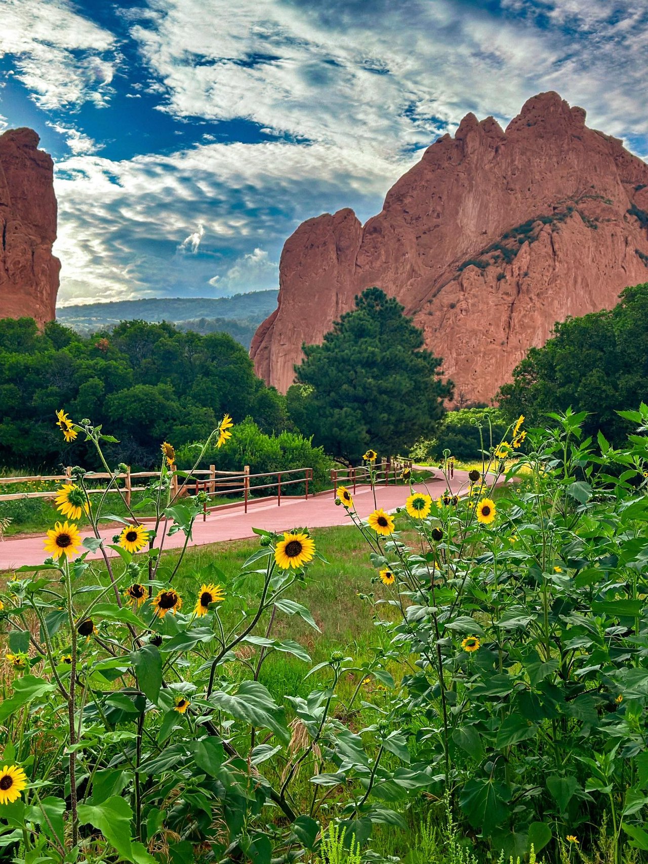 Garden of the Gods: Where Colorado Springs Comes Alive