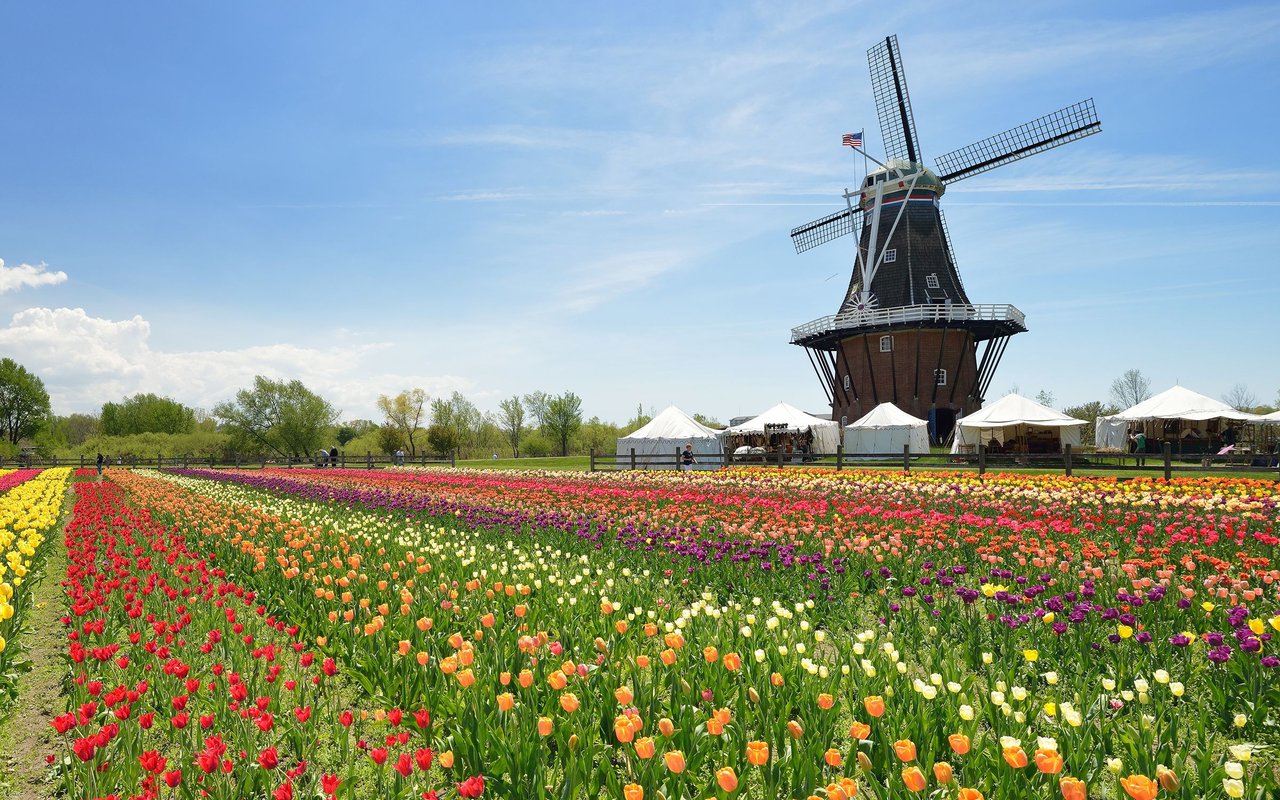 Holland