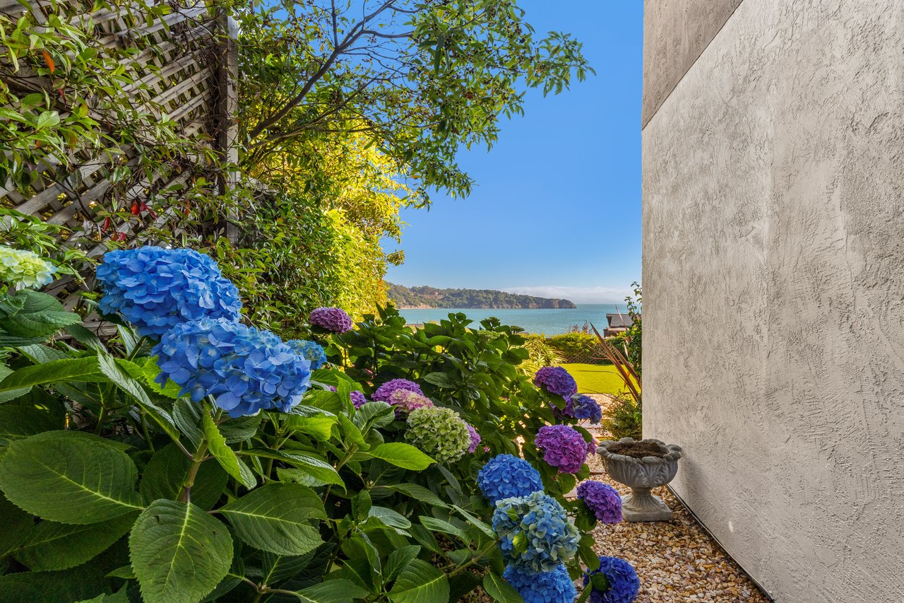 Picturesque Views of Angel Island and the Golden Gate Bridge