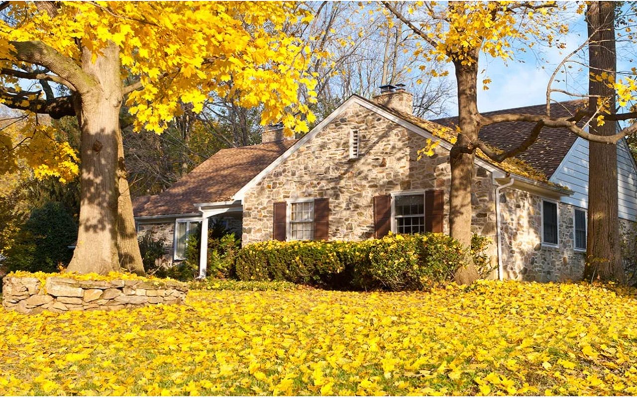 Is the Fall Real Estate Market Cooling or Heating Up?