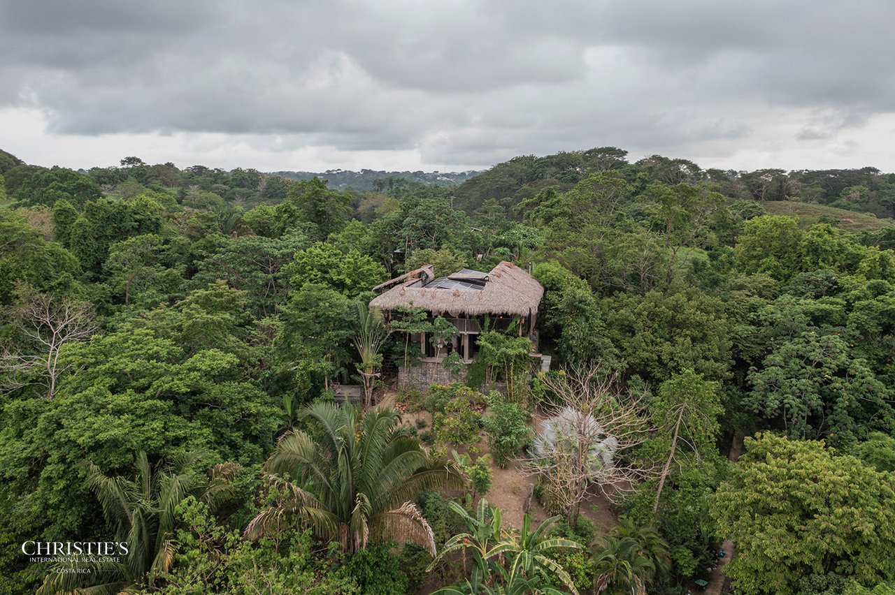 Villa Animales – Luxury Jungle Sanctuary