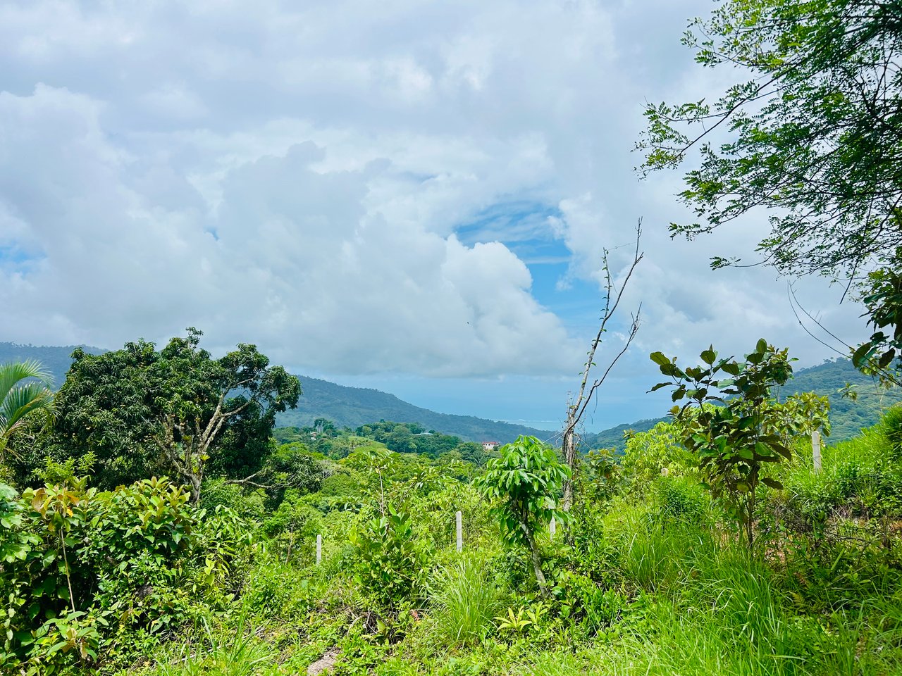 Ocean & Mountain View Lot with Multiple Building Sites-20 Minutes from Uvita