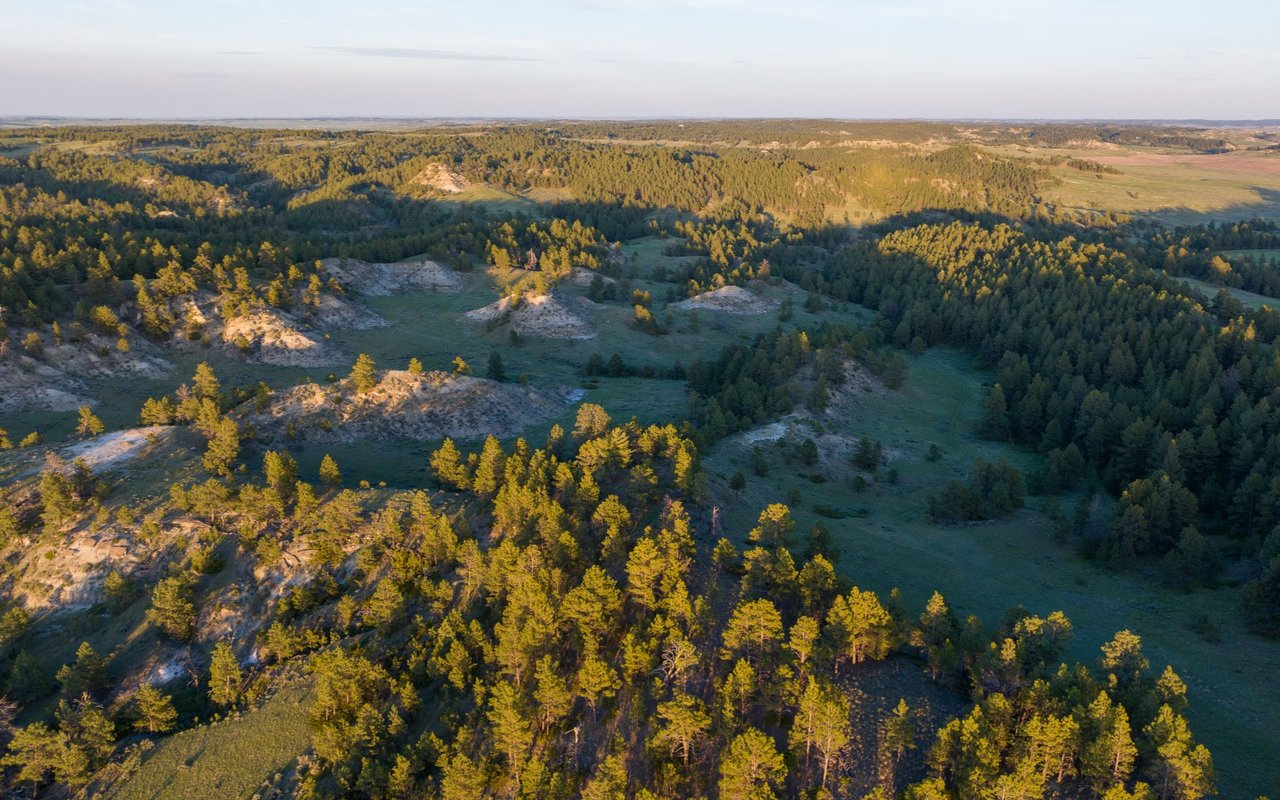 Elk Rich Ranch