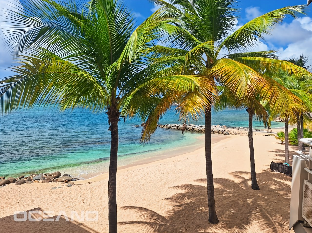 Seafront Apartment on the Beach - Marigot