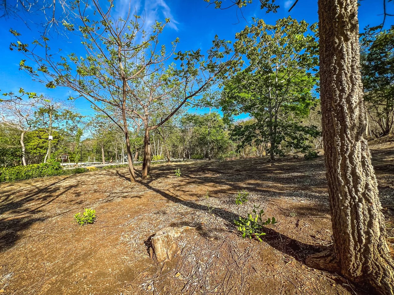 Build Ready Jungle View Lot, Tamarindo, Guanacaste