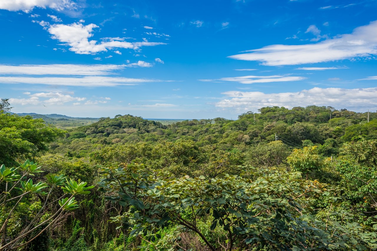 Villa del Bosque | Luxurious Home in Black Stallion with Ocean and Nature Views!