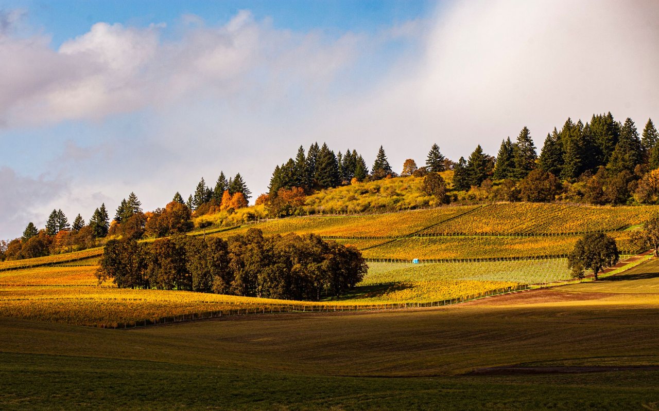 Newberg