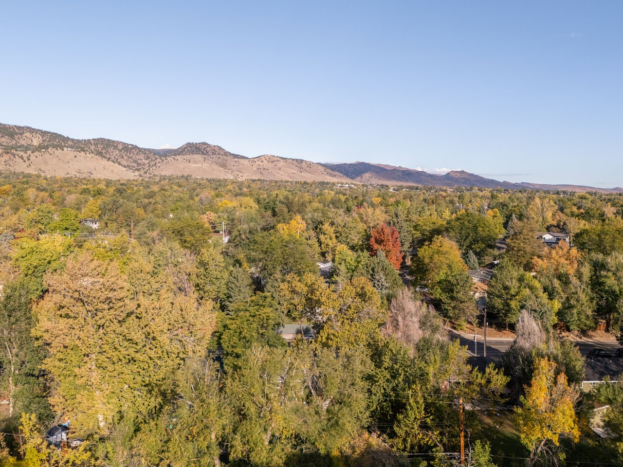 Aerial view over the Goose Creek tree canopy in fall color near 2003 Balsam Drive with foothills beyond