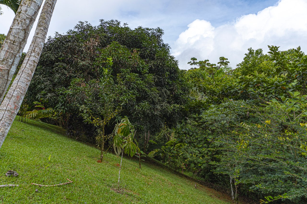 Serene Costa Rican Jungle Retreat with Waterfalls & Wildlife