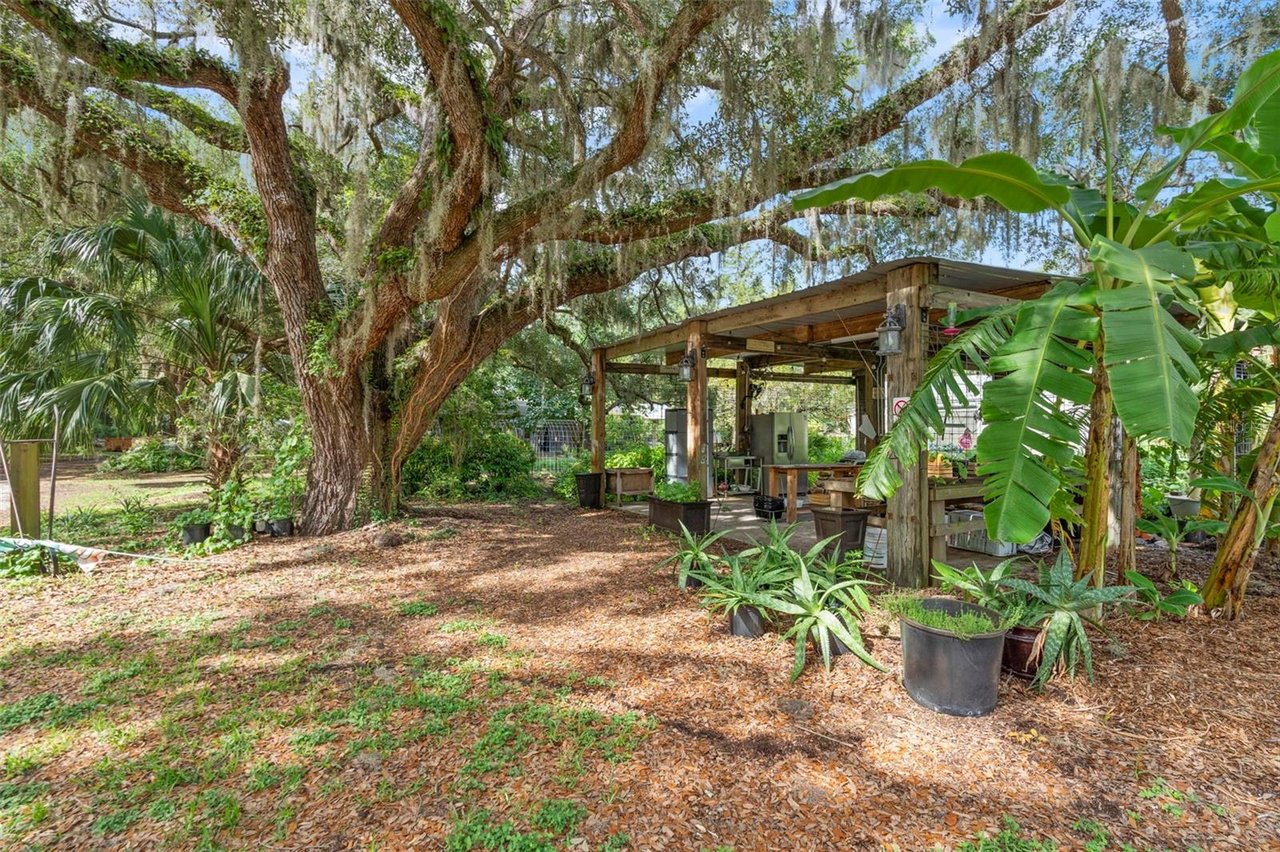 Dirty Dog Farm, Leesburg FL