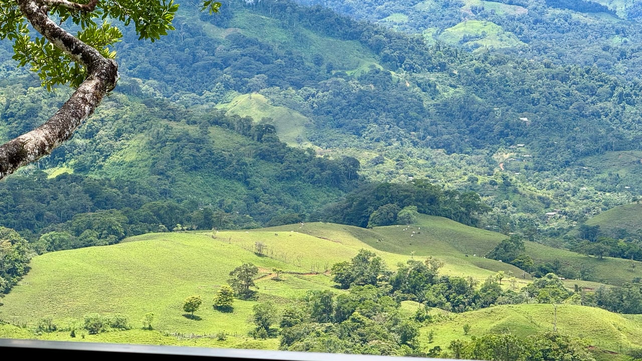 Spring, Waterfalls and more!  Farm in San Vito Limoncito!