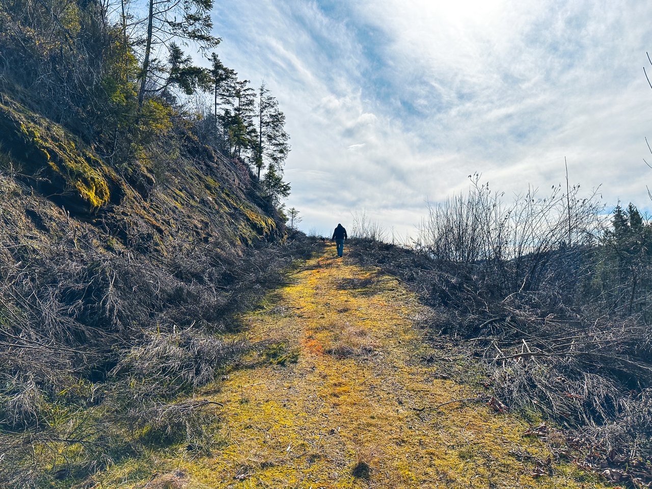 Smith River Back Woods