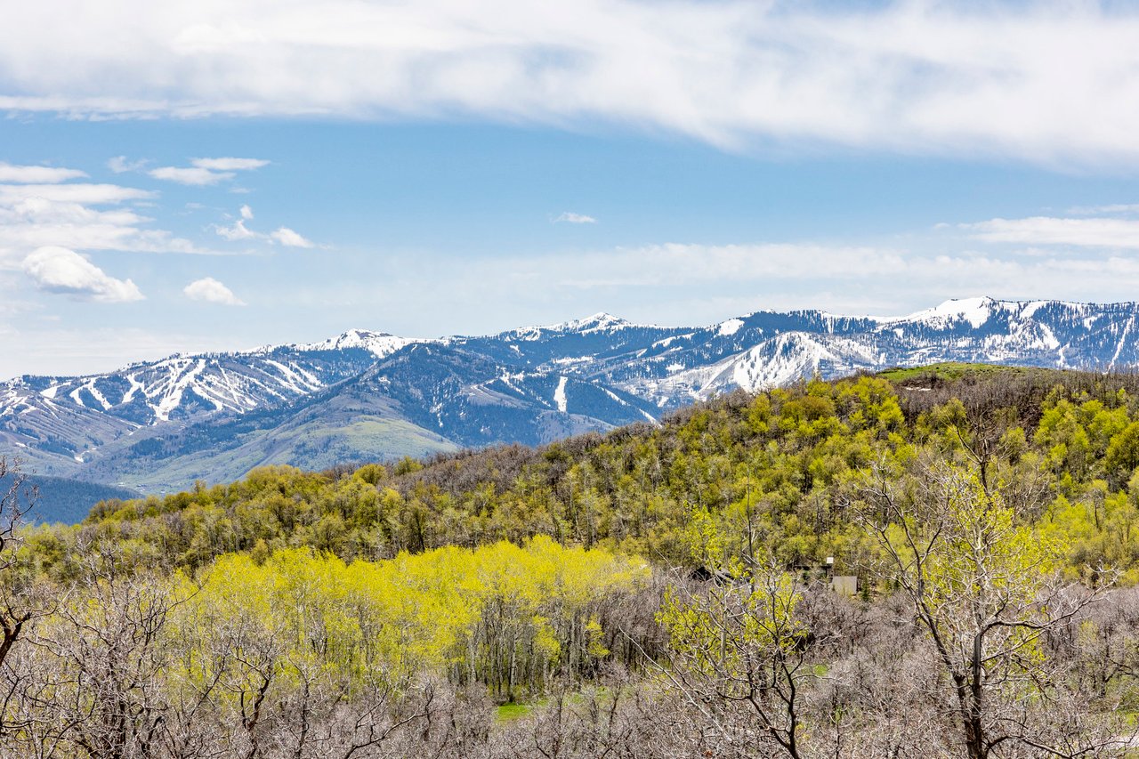 contact-form-background