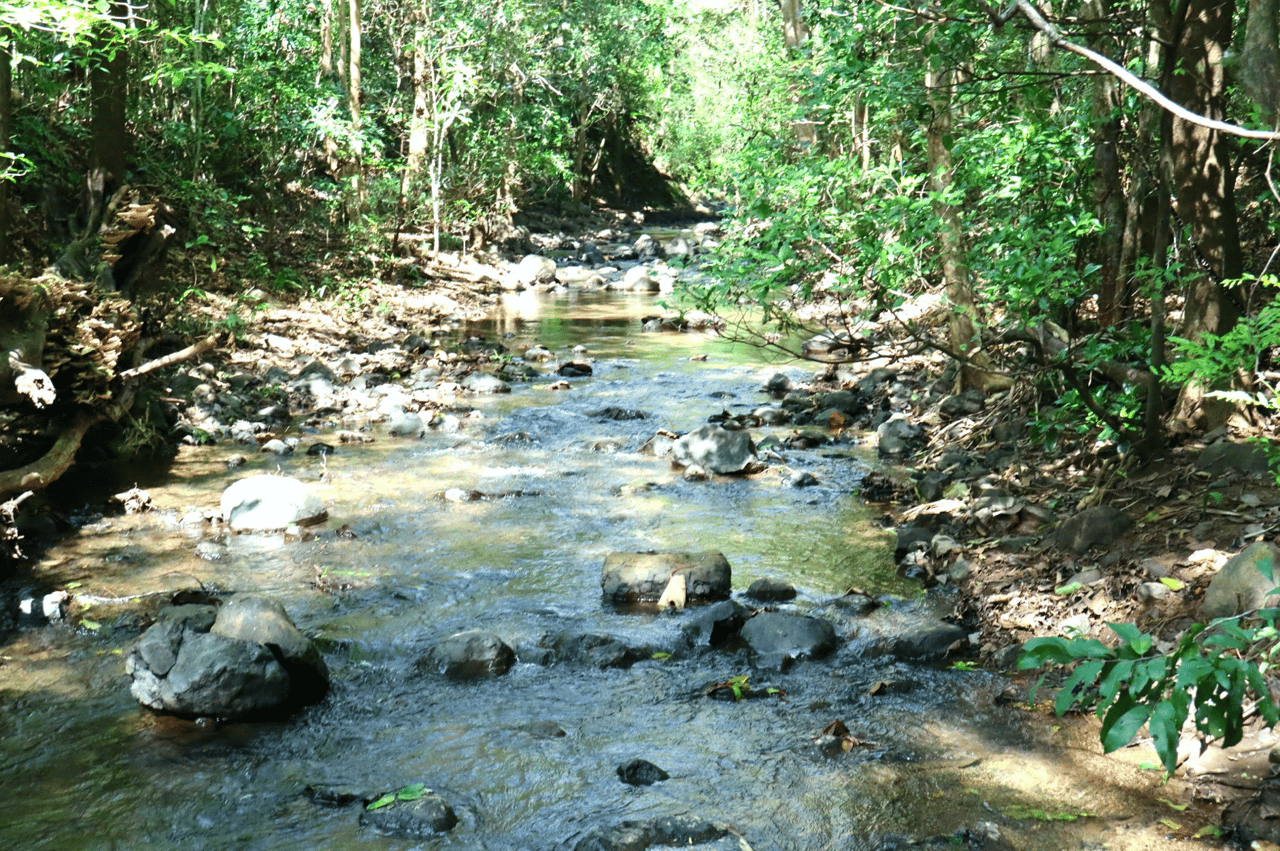 Eco Sanctuary In Playa Marbella - 250 Acre Riverfront