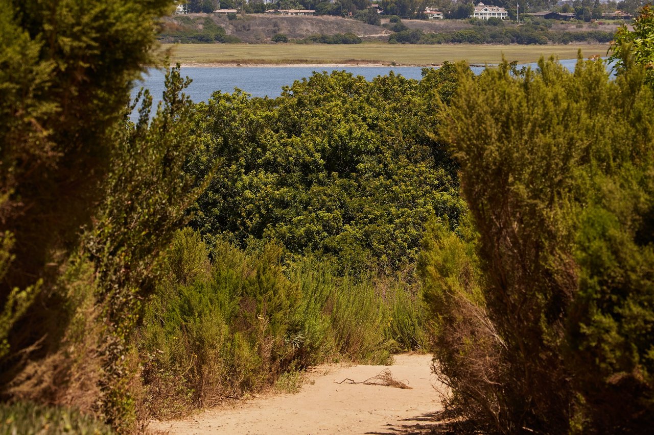 Sandy dirt path leading through green coastal shrubs toward calm blue water, with a grassy flat and buildings on a hillside beyond