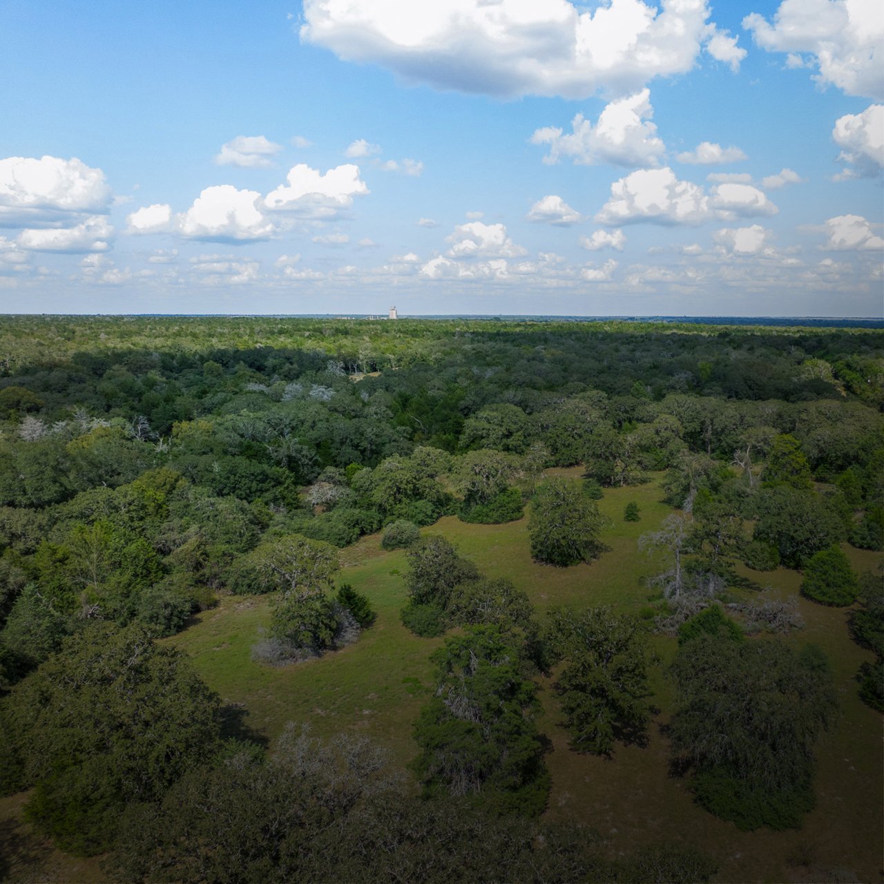 Acreage Estates on Pauline