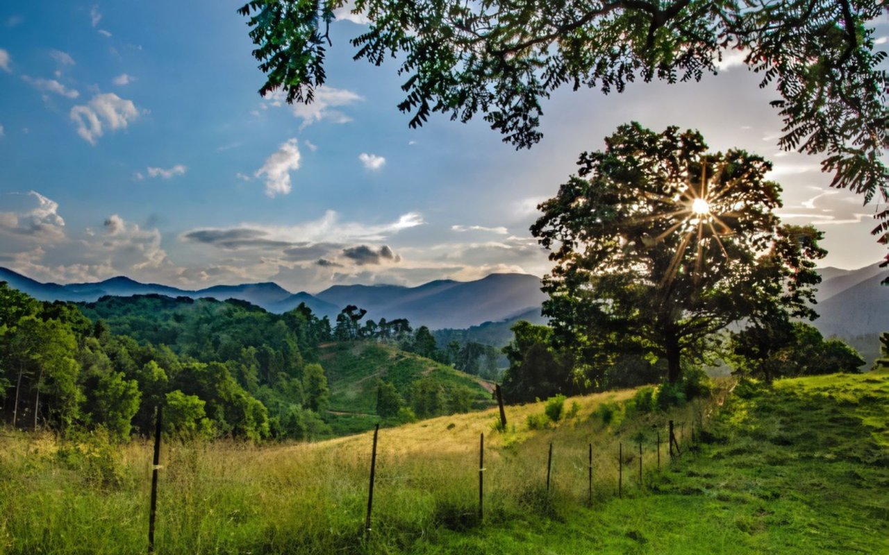 West Buncombe
