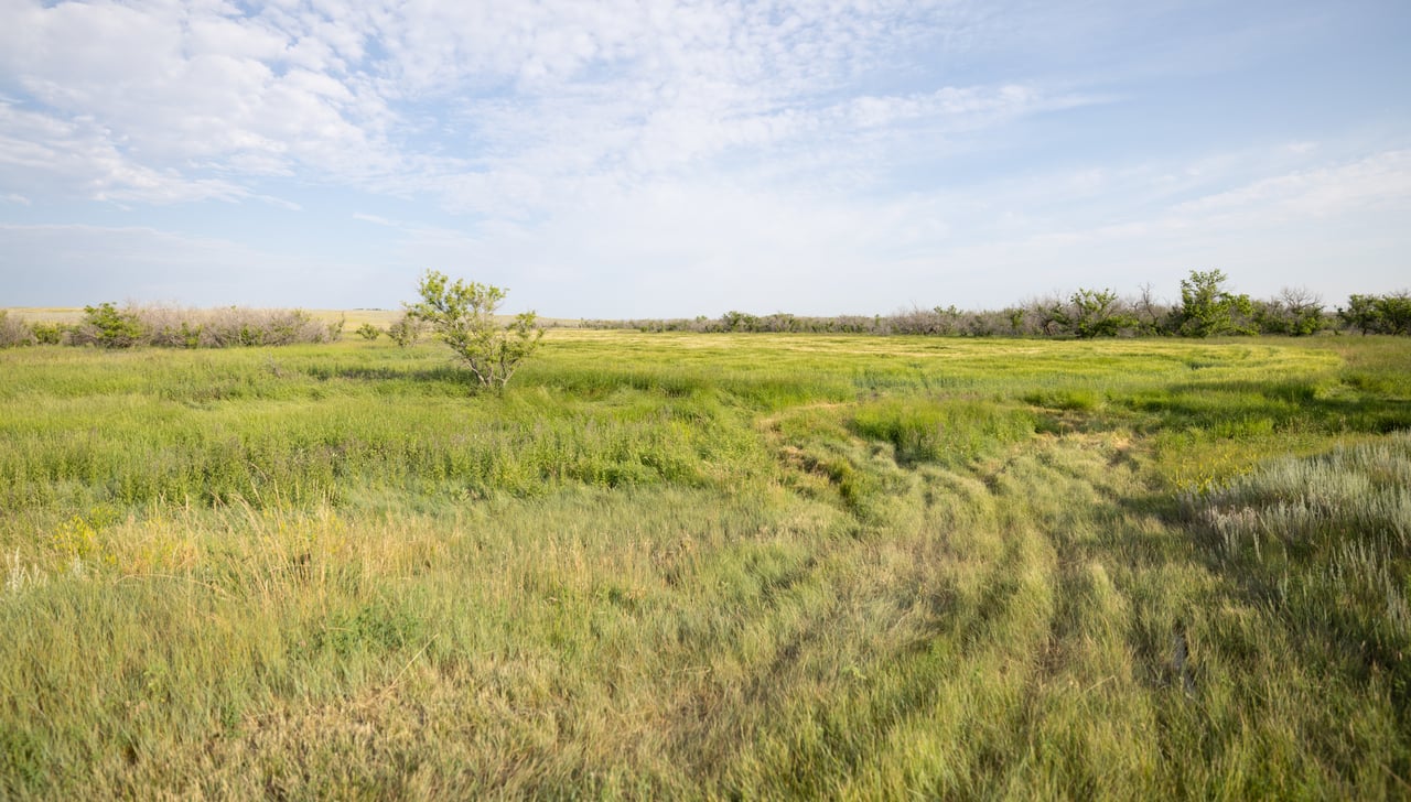 Covey Rise Ranch