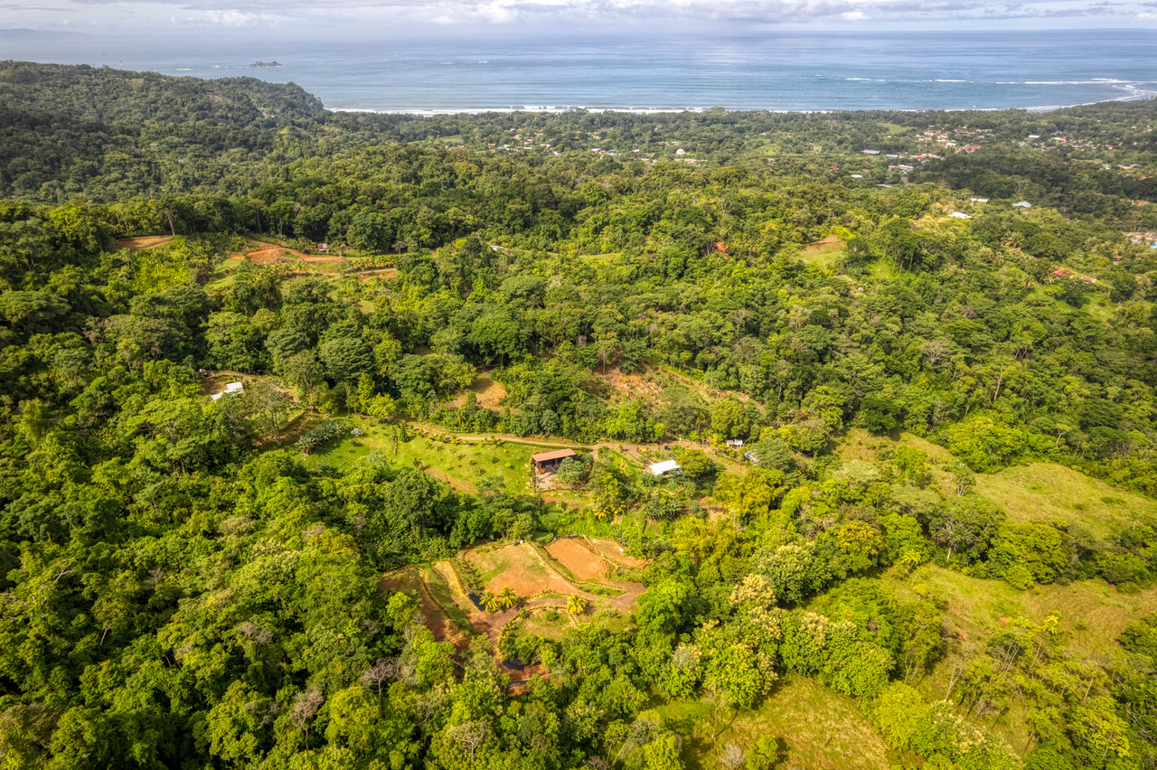Sustainable Development Land, Uvita, Puntarenas