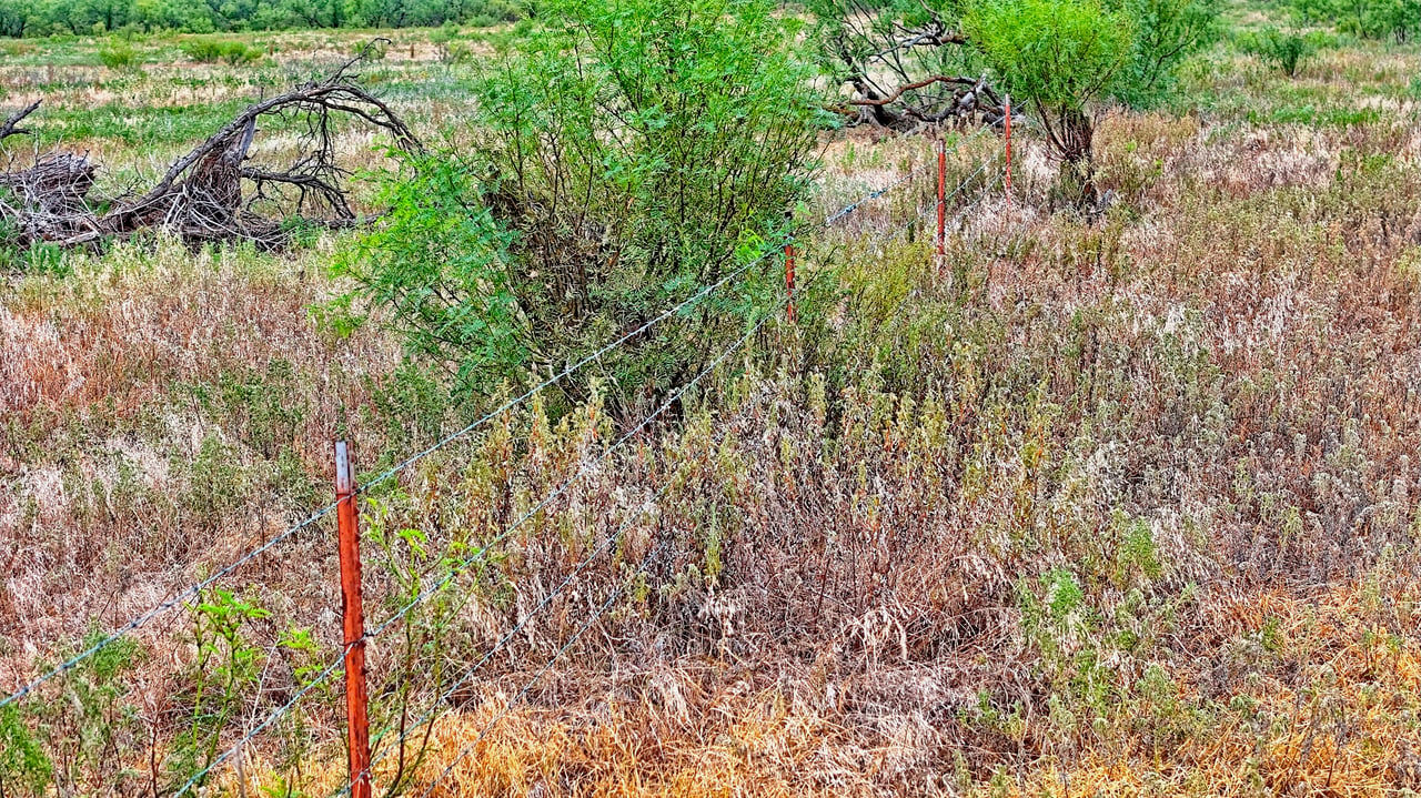 Cross Creek Ranch 