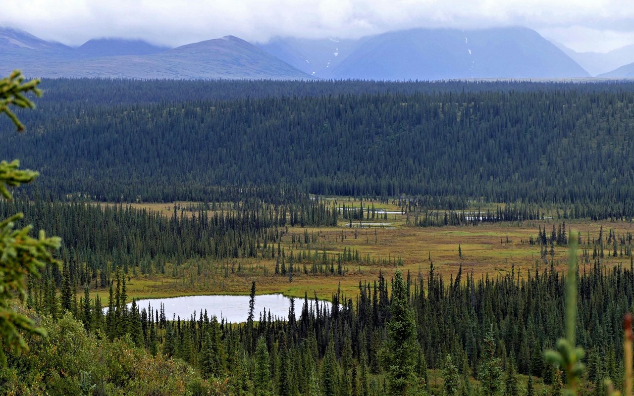 Meadow Lakes