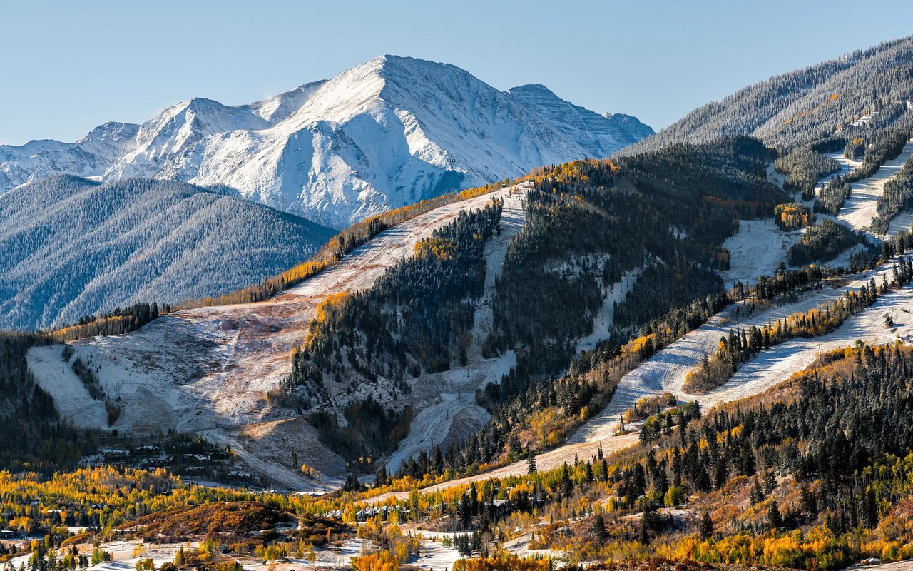 Fall Market Roundup