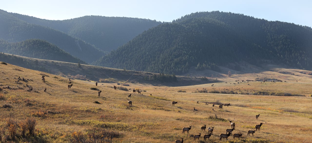 Box Elder Ranch