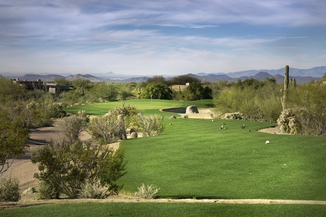 Grayhawk