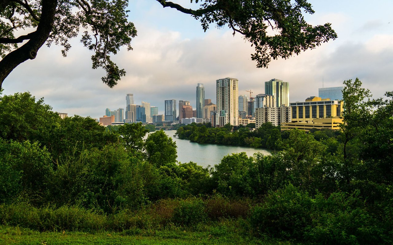 Travis Heights