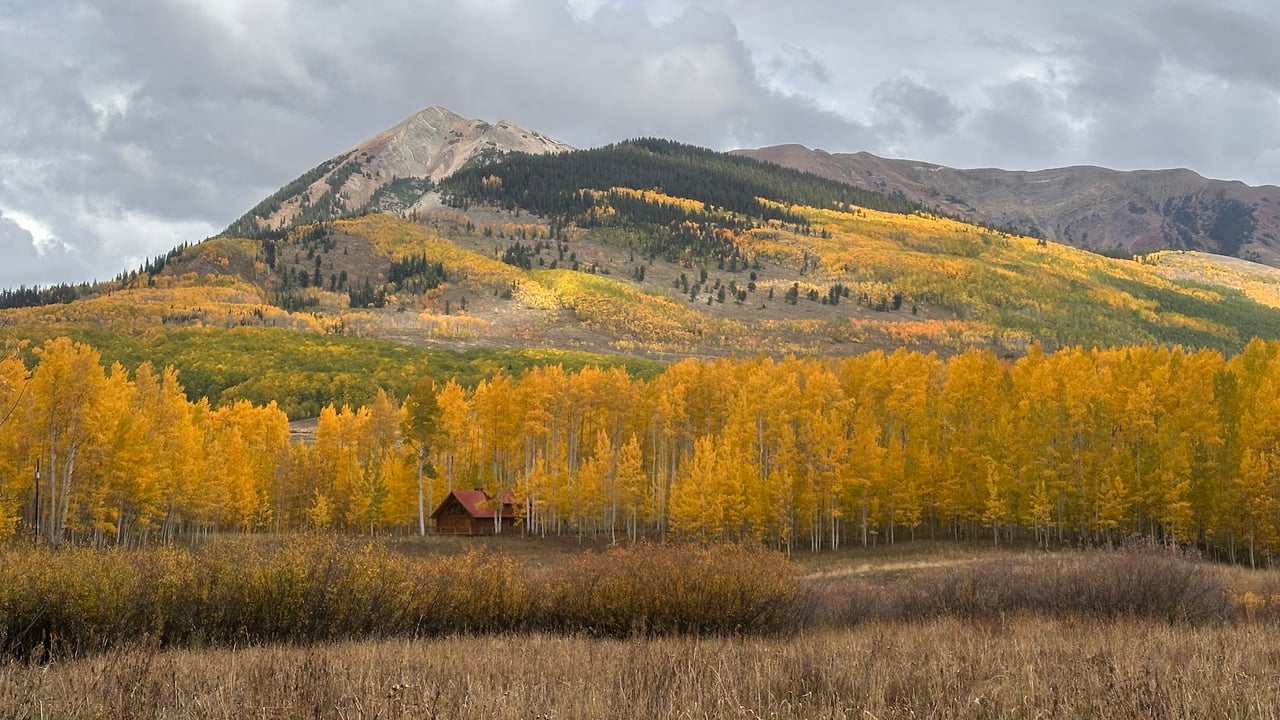 Kebler Pass in the Fall: Colorado’s Golden Wonderland