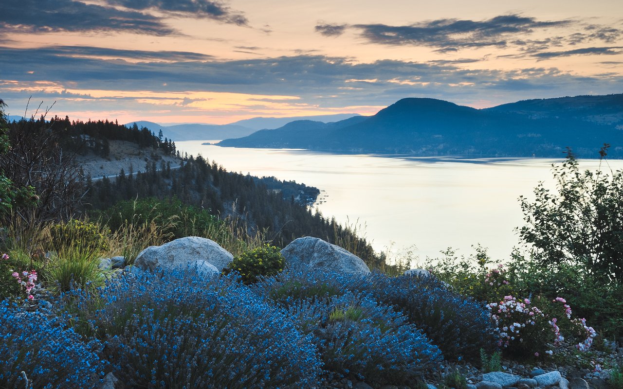 Macdonald Realty Kelowna