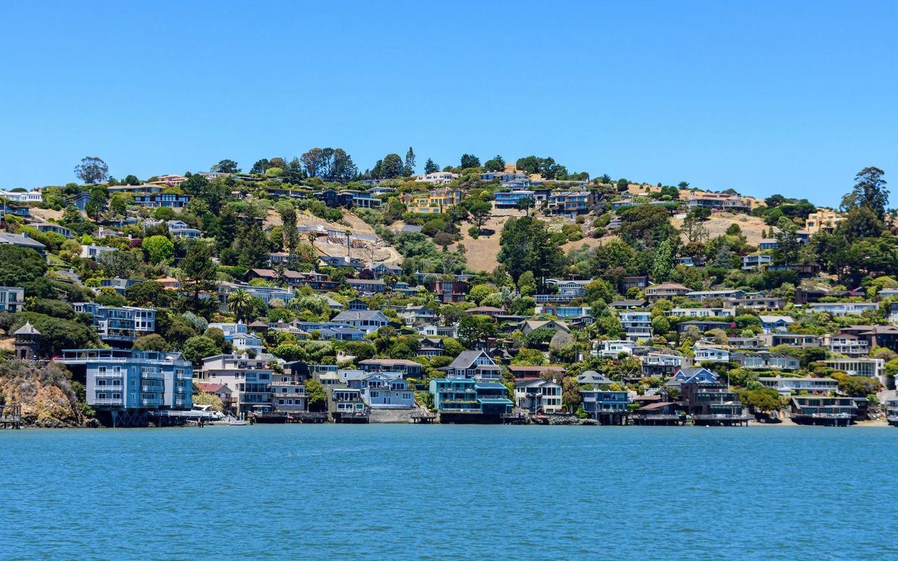 Tiburon