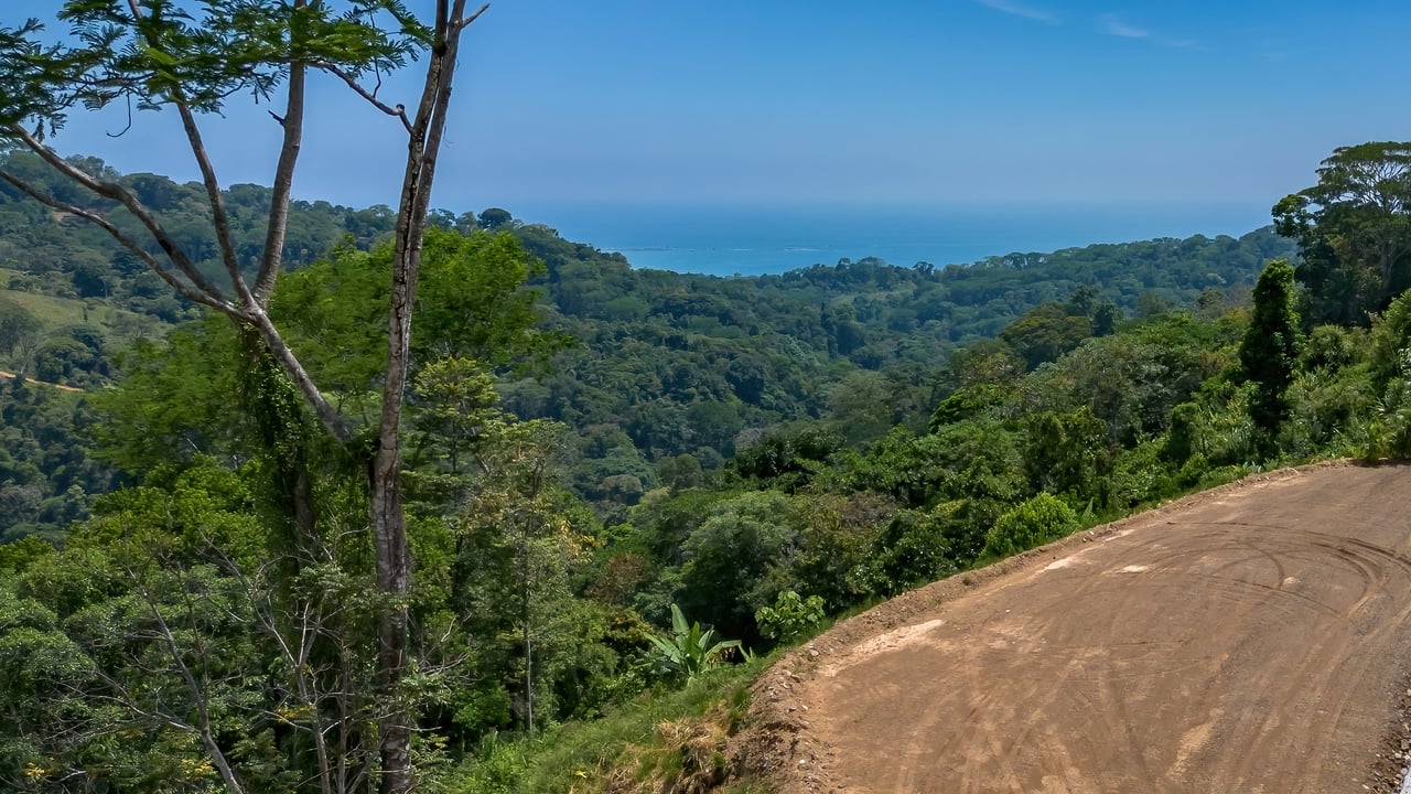 In-Demand 2.3-Acre Ocean View Homesite with Whale Tail Views | San Josecito