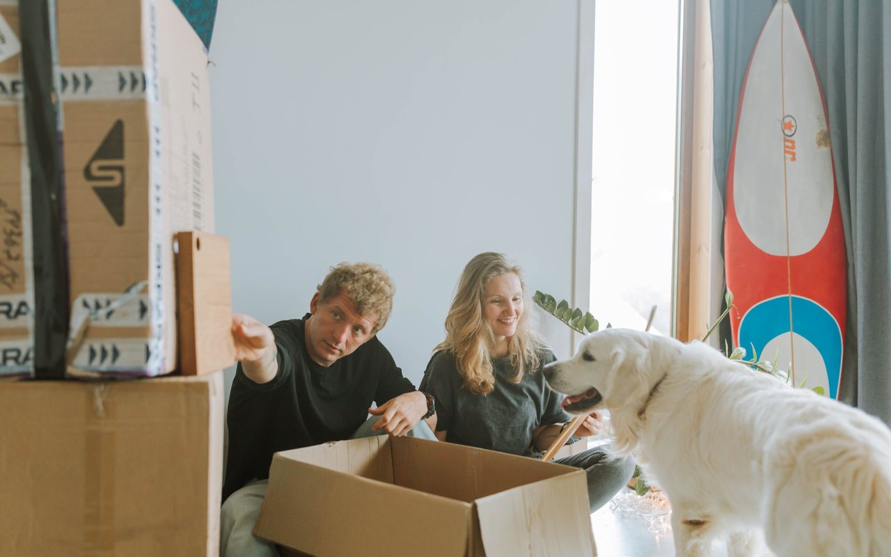 Couple packing boxes with their large white dog beside them and a surfboard by the window.