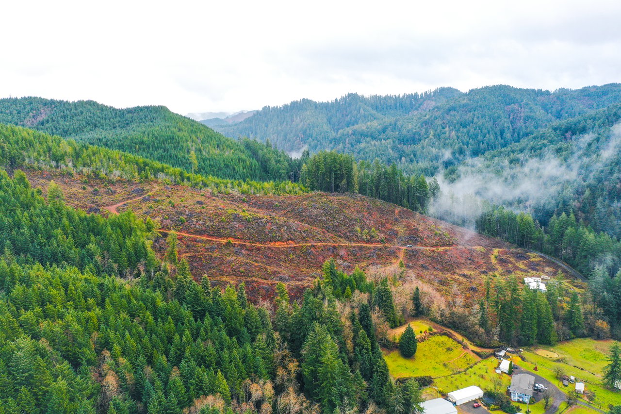 RICHARDSON TIMBER