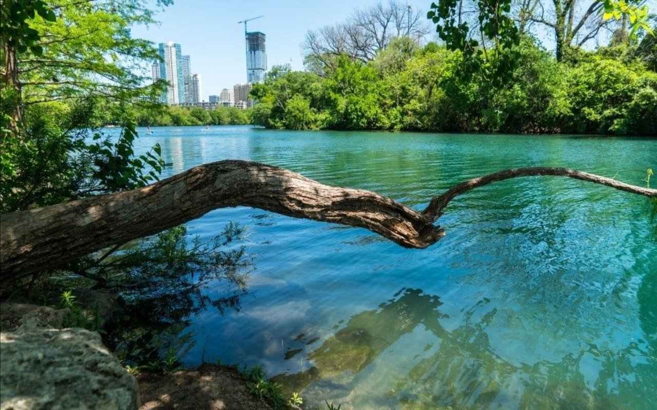 Austin Area Real Estate Statistics March 2020
