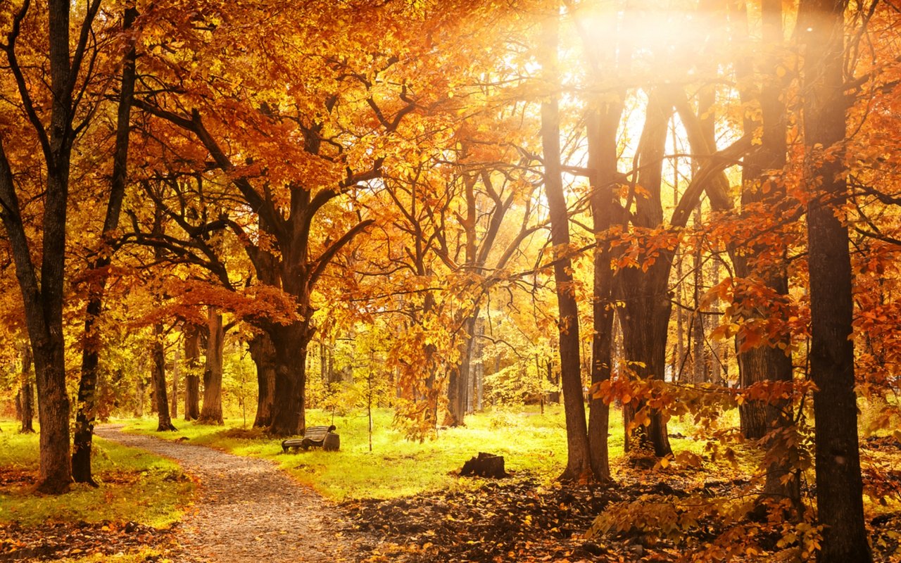 5 Things You Must Do This Fall In Charlotte