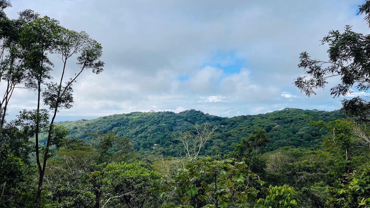 Jungle Canopy Retreat with Ocean, Cano Island & Mountain Views Near Dominical