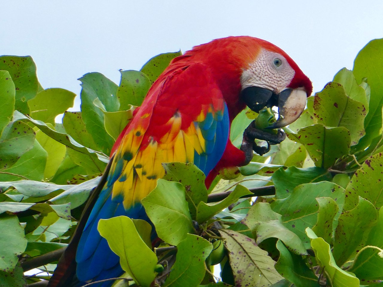 2-Bedroom Gem with Stunning Tropical Landscape in Uvita