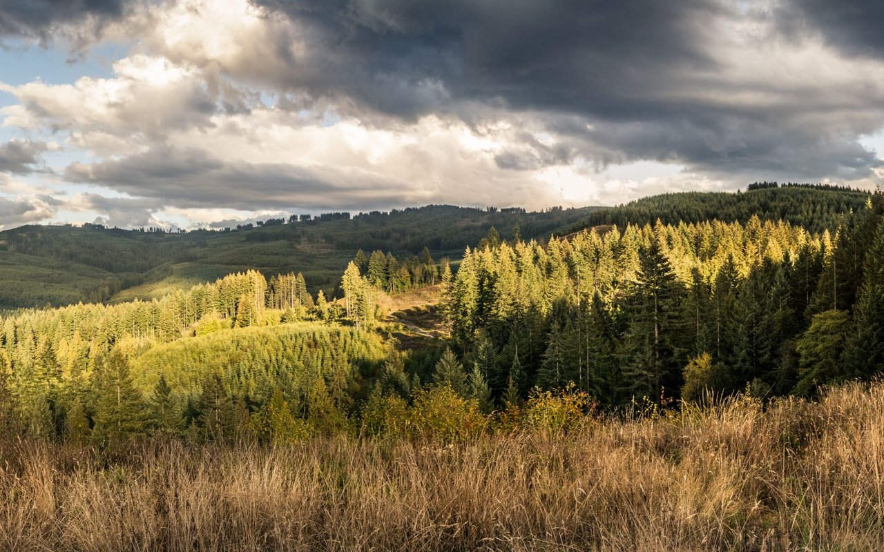 Brush Prairie