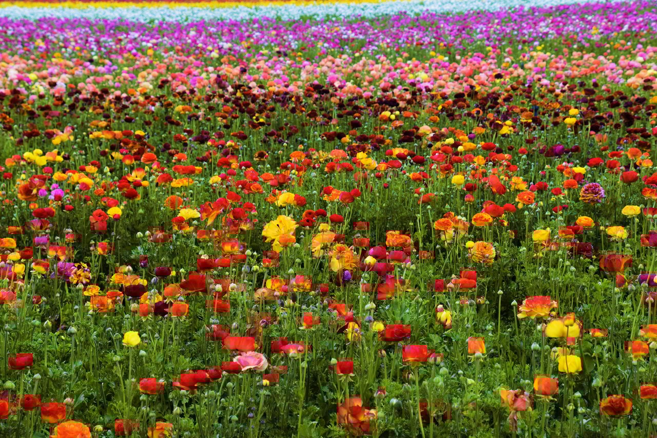 2652 Jefferson Street #A-G