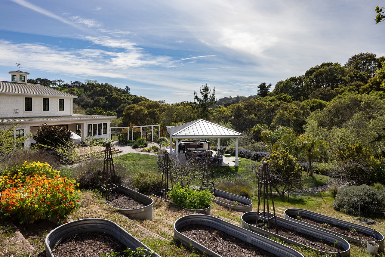 Honey Hill - 365 Race Horse Ln